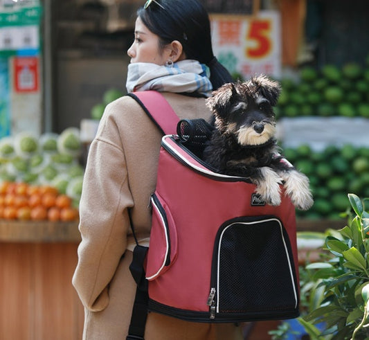 Winter-Friendly Pet Carrier Backpack – Travel & Outdoor Dog & Cat Bag